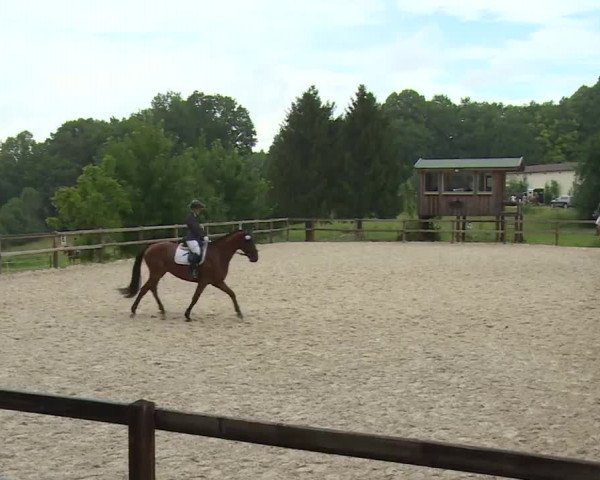 Reitturnier Birkenreuth/Ofr. 2020