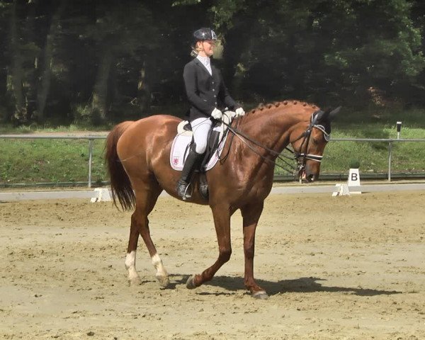 Reitturnier Reitanlage Birkenhof, Perl-Sinz 2020
