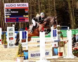 Springpferd Ratino 55 (Hessisches Warmblut, 2007, von Ratino)