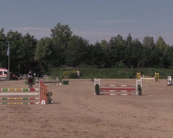 Reitturnier Pietzpuhl 2020