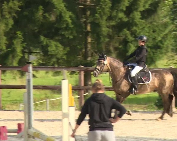 Reitturnier Birkenreuth/Ofr. 2020