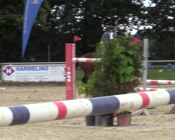 Reitturnier Coesfeld/Lette 2020
