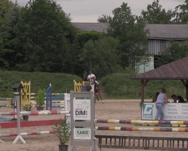 Reitturnier Pietzpuhl 2020