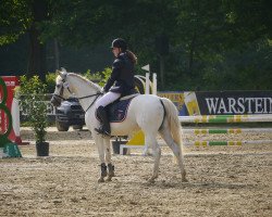 jumper Maira (German Riding Pony, 2004, from Monte Verdi)