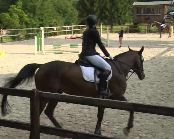 Reitturnier Birkenreuth/Ofr. 2020