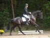 dressage horse Herzenswunsch 6 (Westphalian, 2008, from Hotline)