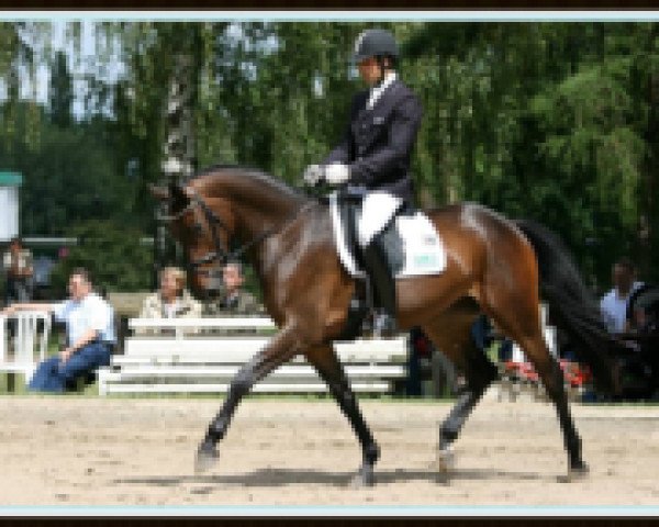 broodmare Unica (Trakehner, 2009, from Tannenhof’s Solero TSF)