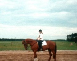 broodmare Linda (Noble Warmblood, 1988, from Largos)