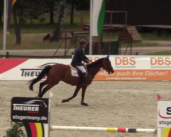 Reitturnier Westergellersen - Luhmühlen 2020