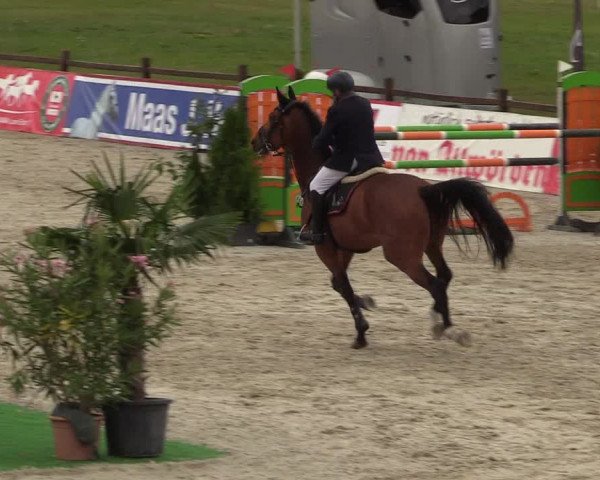 Reitturnier Westergellersen - Luhmühlen 2020