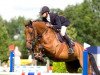 Springpferd VDL Groep Courage (Belgisches Warmblut, 2002, von Cumano)