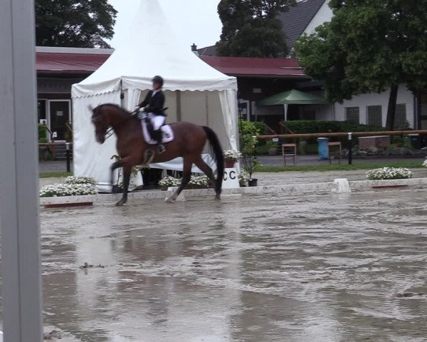 Reitturnier Halver 2020