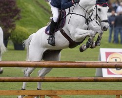 broodmare VDL Groep Cannelina (Holsteiner, 2000, from Carthago)