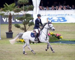 broodmare VDL Groep Eureka (Belgian Warmblood, 2004, from Chin Chin)