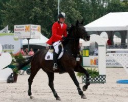 jumper Uni Stop Vt Hoksent (Belgian Warmblood, 1997, from Nonstop)