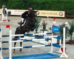 jumper Zaza Davino (KWPN (Royal Dutch Sporthorse), 2004, from Polydox)