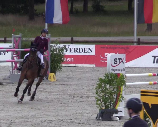 Reitturnier Westergellersen - Luhmühlen 2020