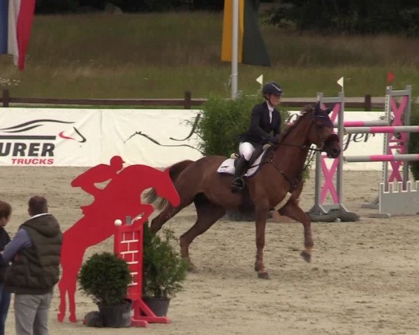 Reitturnier Westergellersen - Luhmühlen 2020