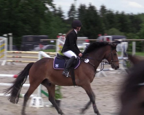 Reitturnier Halver 2020
