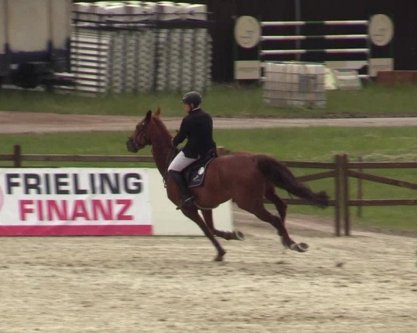 Reitturnier Westergellersen - Luhmühlen 2020