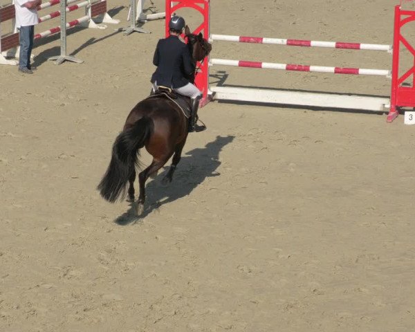 Reitturnier Leingarten 2021