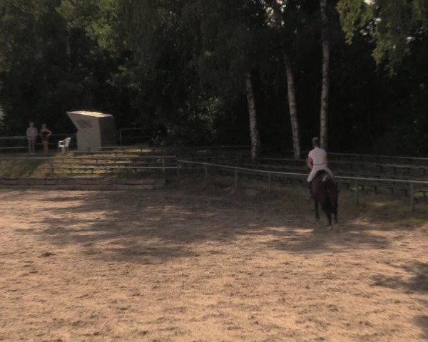 Reitturnier Lgl.-Oberhain, B95 2020
