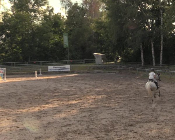Reitturnier Lgl.-Oberhain, B95 2020