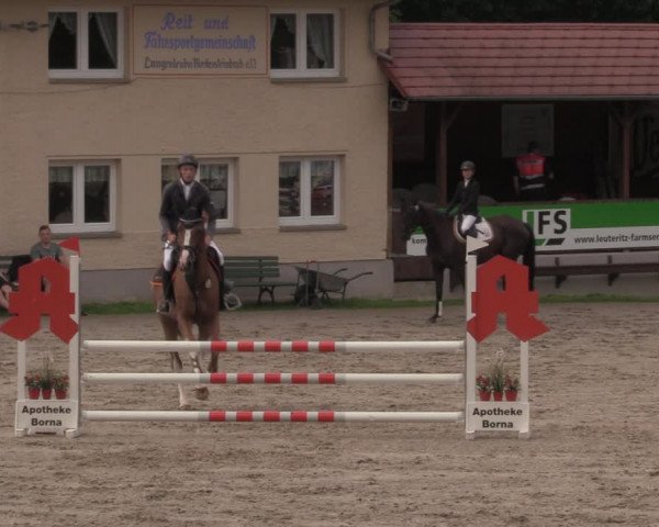 Reitturnier Lgl.-Oberhain, B95 2020