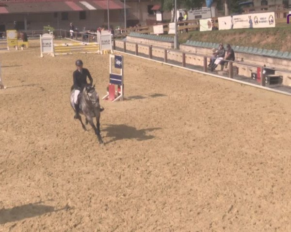 Reitturnier Uder, Reitanlage Kobold 2020