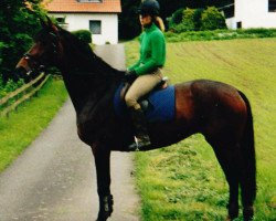 broodmare Mara (Hanoverian, 1996, from Metternich)