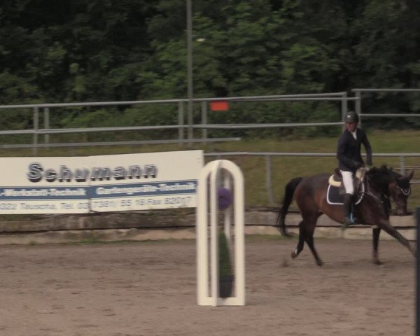 Reitturnier Lgl.-Oberhain, B95 2020