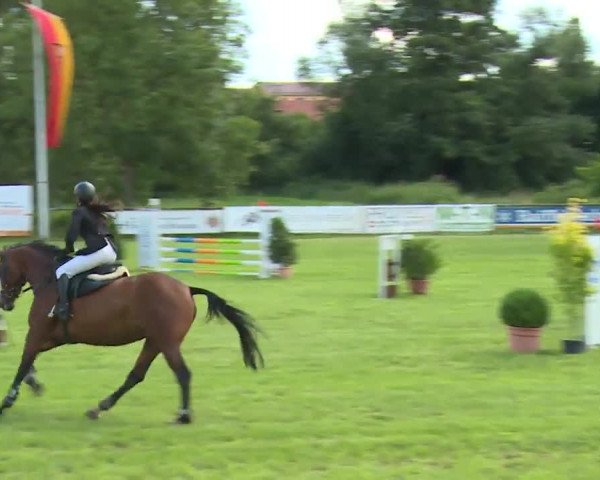 Reitturnier Hahnbach/Opf. 2020
