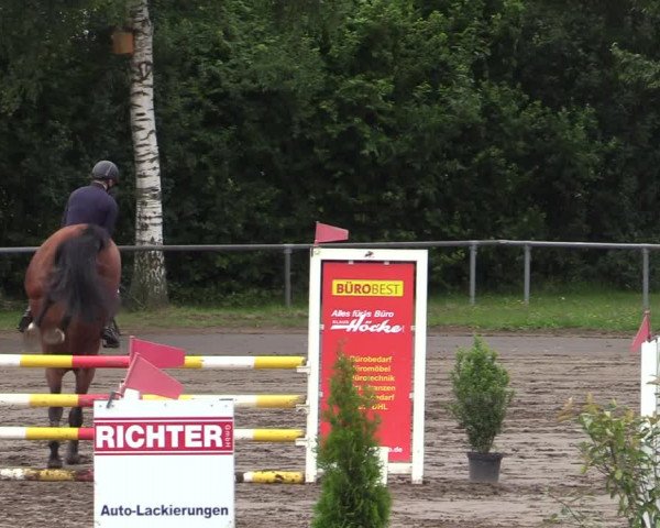 Reitturnier Seppenrade 2020