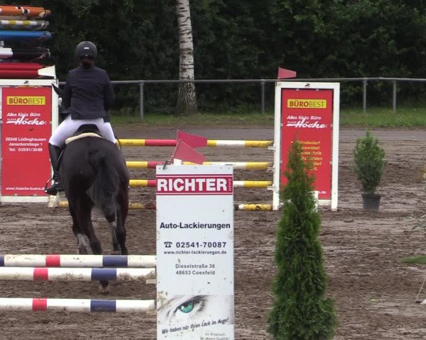 Reitturnier Seppenrade 2020