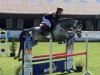 jumper Lotto King Karl P.d (Holsteiner, 2009, from Lasino)