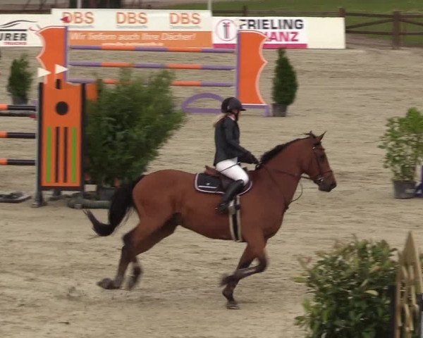 Reitturnier Westergellersen - Luhmühlen 2020
