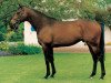 stallion Sri Pekan xx (Thoroughbred, 1992, from Red Ransom xx)