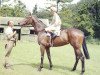 broodmare Lupe xx (Thoroughbred, 1967, from Primera xx)