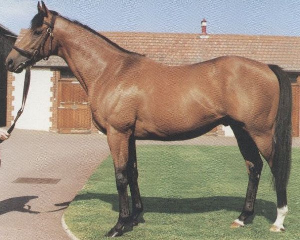 stallion Legend Of France xx (Thoroughbred, 1980, from Lyphard xx)