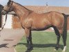 stallion Legend Of France xx (Thoroughbred, 1980, from Lyphard xx)