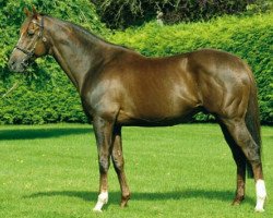 stallion Indian Haven xx (Thoroughbred, 2000, from Indian Ridge xx)