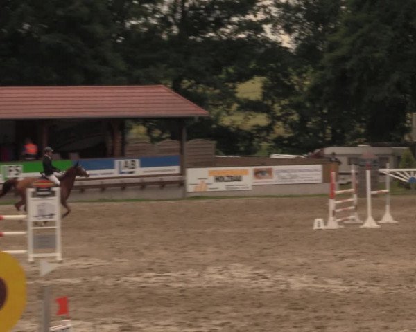 Reitturnier Lgl.-Oberhain, B95 2020
