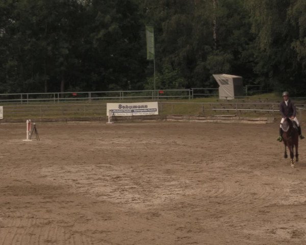 Reitturnier Lgl.-Oberhain, B95 2020