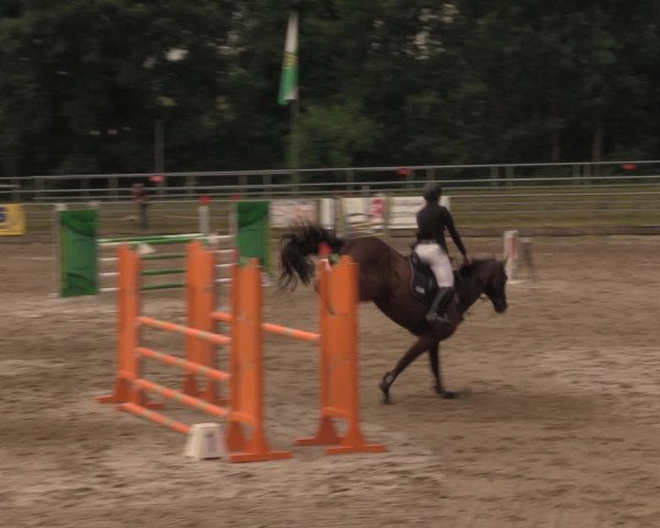 Reitturnier Lgl.-Oberhain, B95 2020