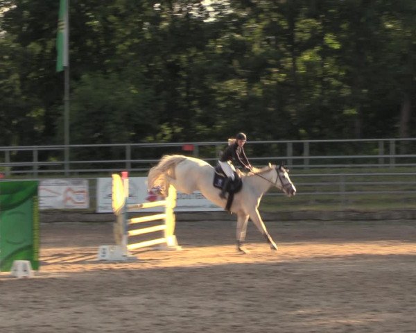 Reitturnier Lgl.-Oberhain, B95 2020