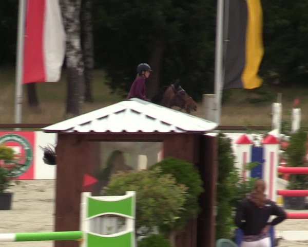 Reitturnier Westergellersen - Luhmühlen 2020