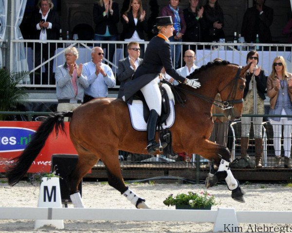 dressage horse Equitop Torricelli Ls (KWPN (Royal Dutch Sporthorse), 2000, from Florestan I)