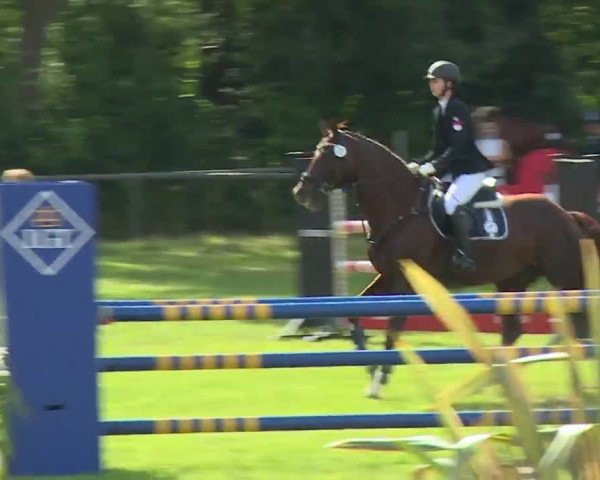 Reitturnier Hahnbach/Opf. 2020