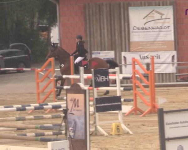 Reitturnier Uder, Reitanlage Kobold 2020