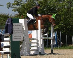 jumper Lotka 2 (Polish Warmblood, 2001, from Loxley)